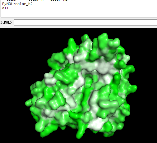 ../_images/pymol_hydrosurf22021-03-18_200335.570229.png